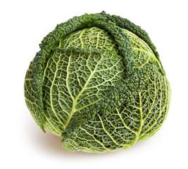 Fototapeta premium savoy cabbage