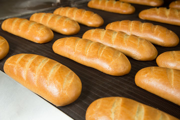 Hot baked breads on a line