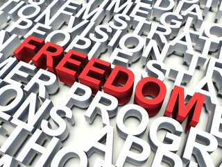 Word Freedom in red. Keyword concept.