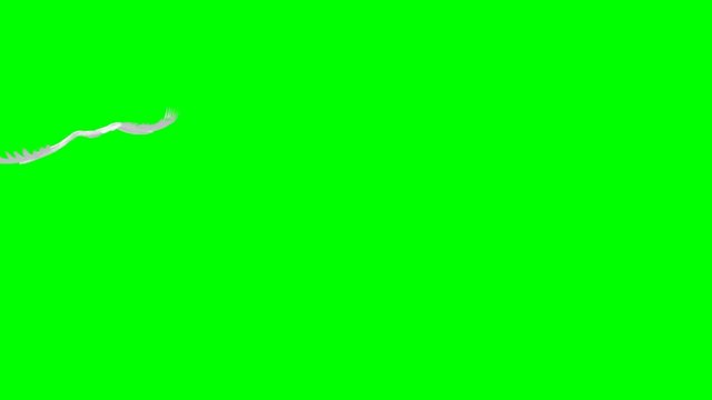 Animated angel wings - green screen