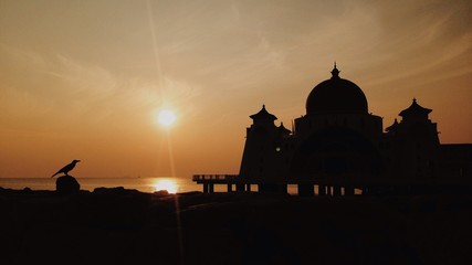 Obraz premium silhouette of a bird with mosque as background