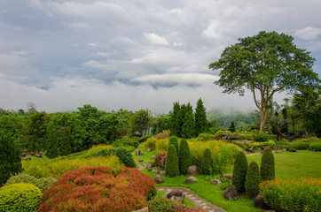 beautiful garden of colorful flowers