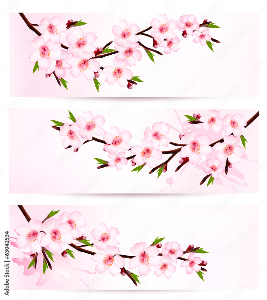 Poster three sakura branch banners. vector.
