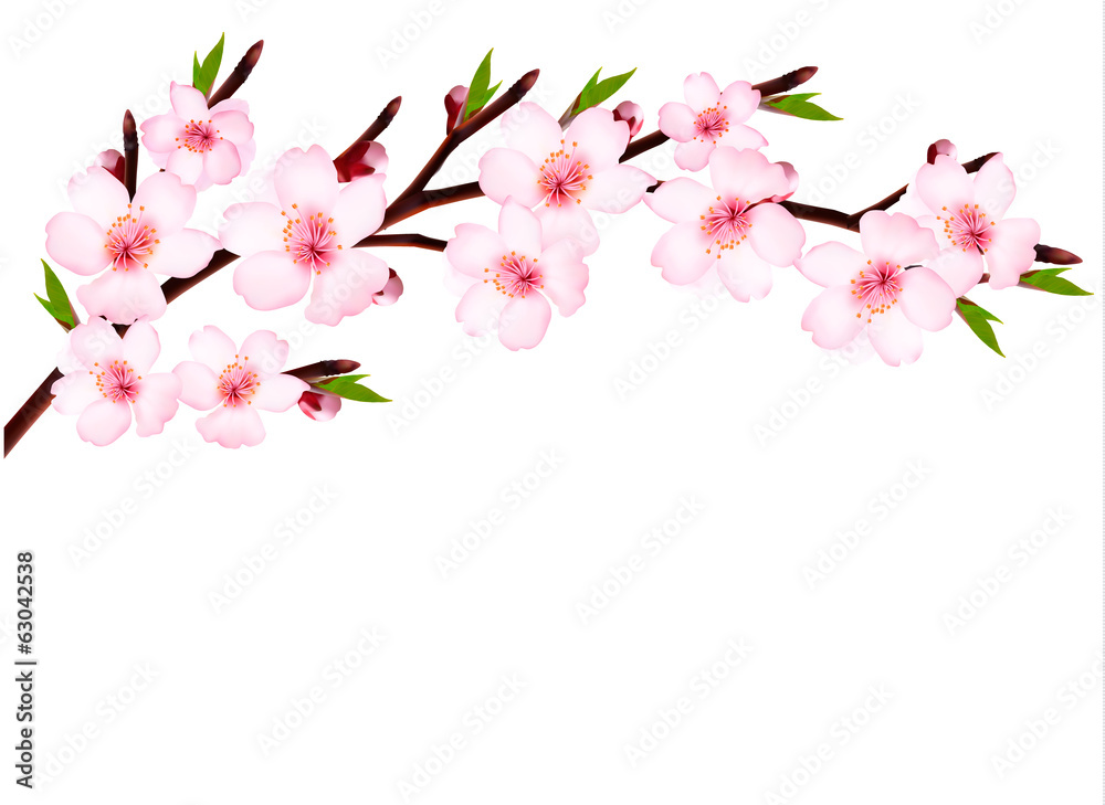 Poster Spring background of a blossoming tree branch with spring flower