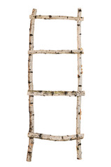 Ladder from birch trunks isolated