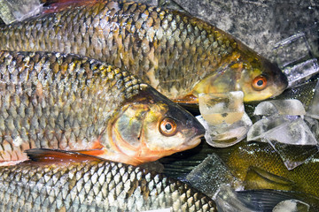 Fish on ice at a market