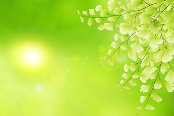 Spring natural background.Stock photo