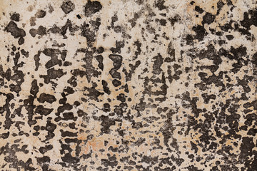 Texture cement wall background