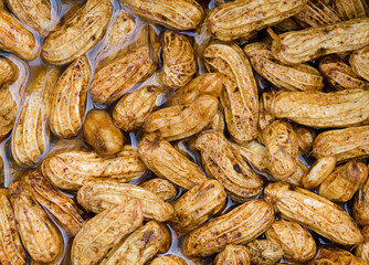 peanuts cleaning in water