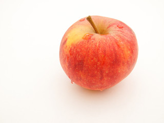pomme fruit