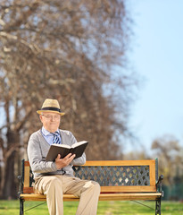 Senior sitting on bench and reading book in park