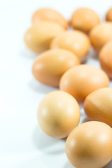 eggs isolated on white background