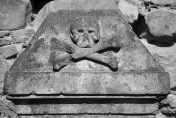 Skull and crossbones mongrel