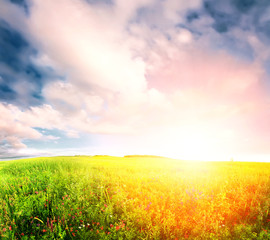 Obraz premium sunset meadow