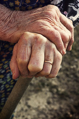 Fototapeta premium Senior's hand on garden tool