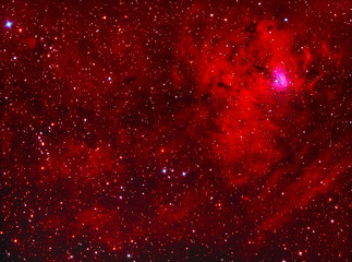 NGC1491 emission nebula in perseus