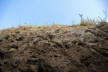 Cross section of earth with grass.