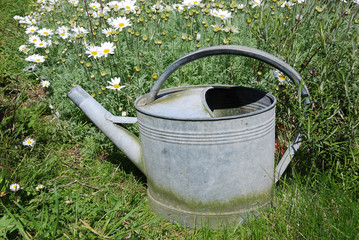 Watering can in garden