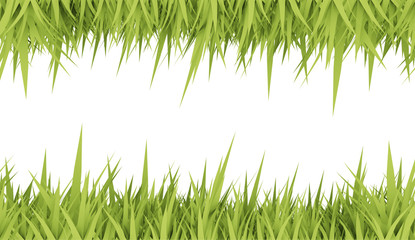 Green grass concept card