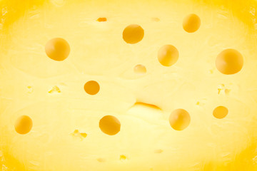 Cheese abstract