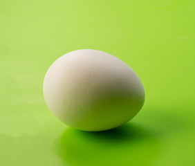 egg