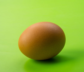 egg