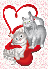 gattini innamorati