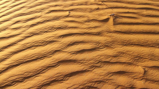 desert landscape, dunes in the desert