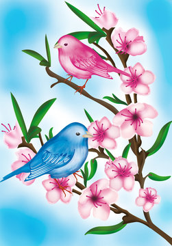 uccellini con fiori