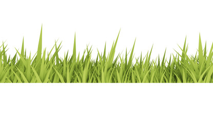 Grass concept on white background