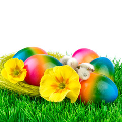 Easter Nest Background