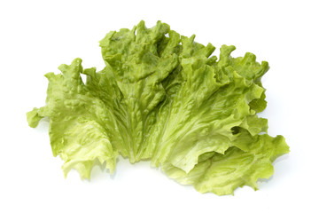 feuille de salade