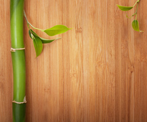 Bamboo frame made of stems on wood background.