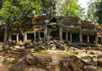 Fototapeta premium Ancient ruins of Ta Prohm temple, Angkor, Cambodia