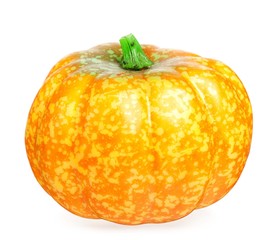 Round pumpkin