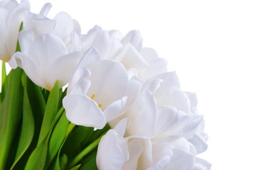 Obraz na płótnie Canvas Beautiful bouquet of white tulips close-up
