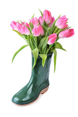 pink tulips
