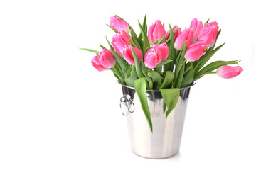 pink tulips