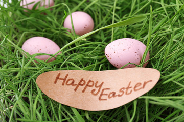 Easter eggs on green grass, close up