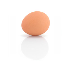 chicken egg