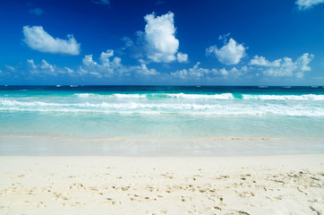 sea