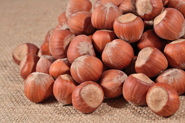 Hazelnuts in a sacking