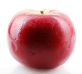 red apple
