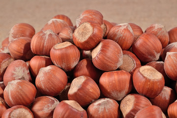 Hazelnuts in a sacking