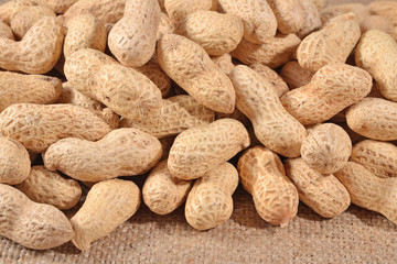 Peanuts in a sacking