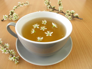 Tee mit Schlehenblüten