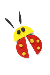 ladybird of geometric figures