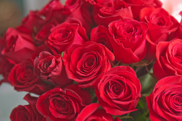 roses background