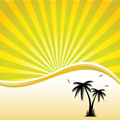 Fototapeta na wymiar Vector illustration of palm trees .