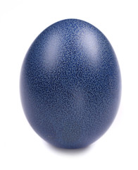 Dark blue easter egg
